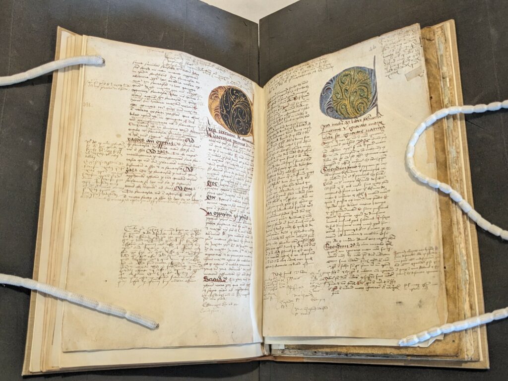 Two page opening of MS41 showing part of Versor's commentary on Aristotle. Two columns of manuscript text per page with an illuminated letter on each. Additional marginalia surrounds the columns.