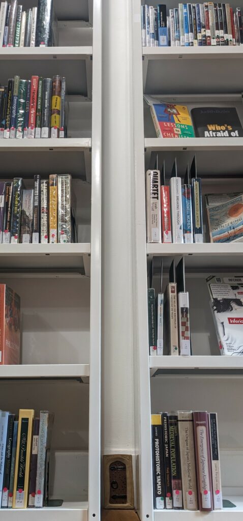 Two set of tall white book shelves with modern books. In between the two shelves is a gap with a tiny historic looking wooden door.