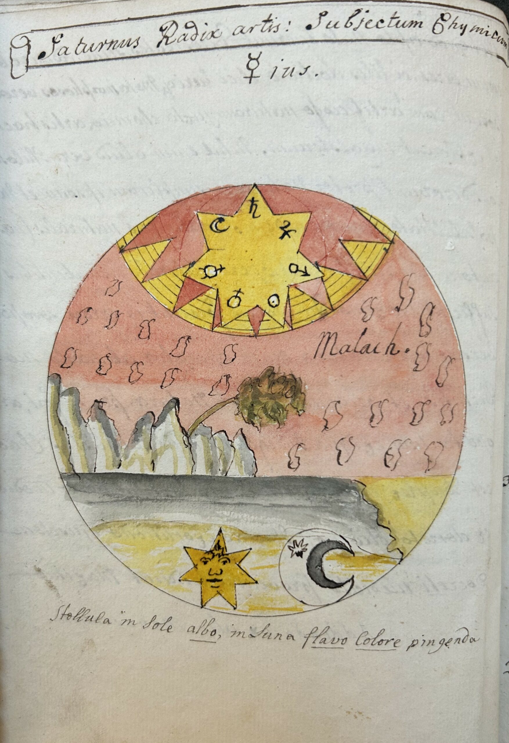 Single page of book with handwritten title beginning 'Saturnis Radix artis'. Below is a hand drawn and hand coloured circle containing and image of a sandy short, grey sea, grey rocks with a windswept tree, red sky and a sun at the top containing a yellow star with zodiac signs. At the bottom of the sphere is a yellow star with a face and a white crescent moon.