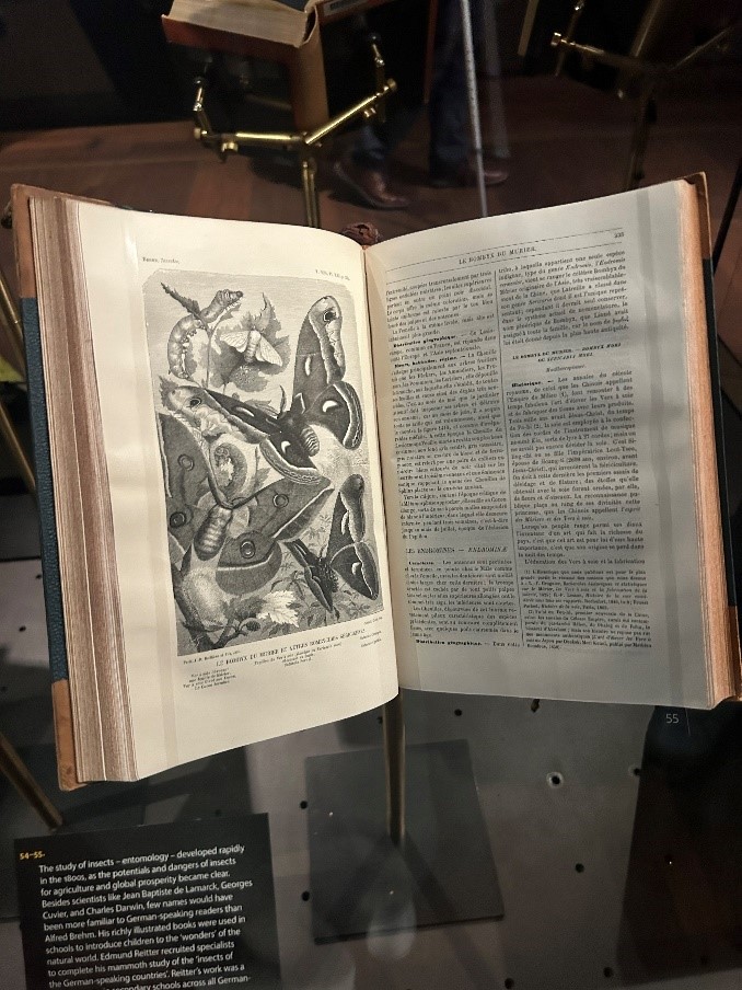 Book showing butterflies and caterpillars from Kafka display.